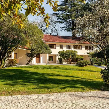 Abreu Retreat Palace By Portugal Active Villa *